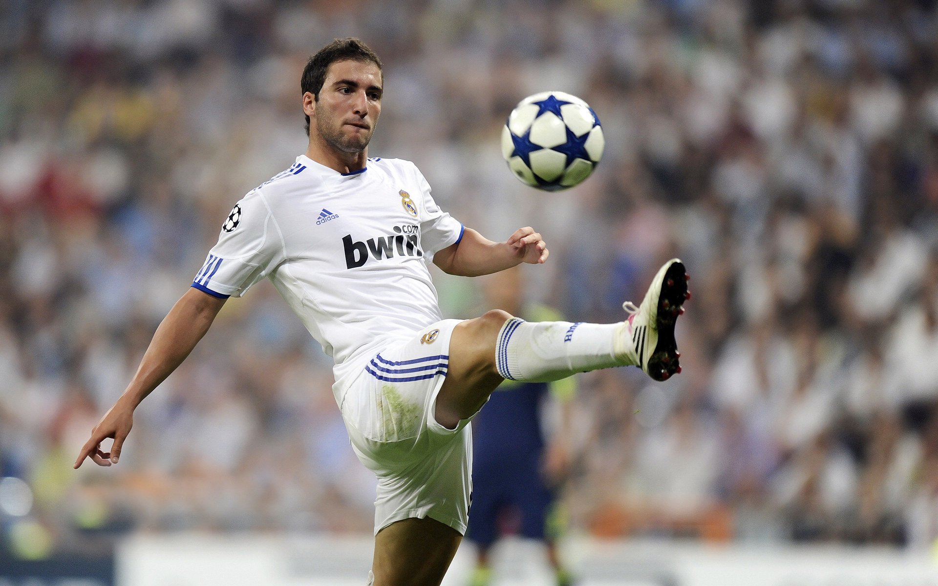 “南非羚羊队的辉煌复兴：萨尔·巴赫的带领下”